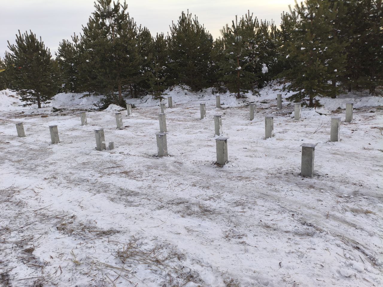 Ряды ЖБ свай С30.15-6у под жилой дом на глинистом грунте в зимнем лесном поселке Лебедево, крупный план оголовков