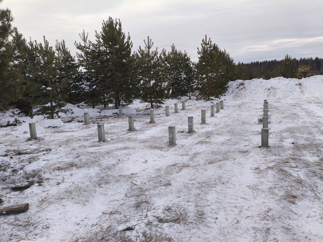 Свайное поле из 21 железобетонной сваи на заснеженном участке в КП Лебедево, вид справа налево с сосновым лесом на заднем плане.