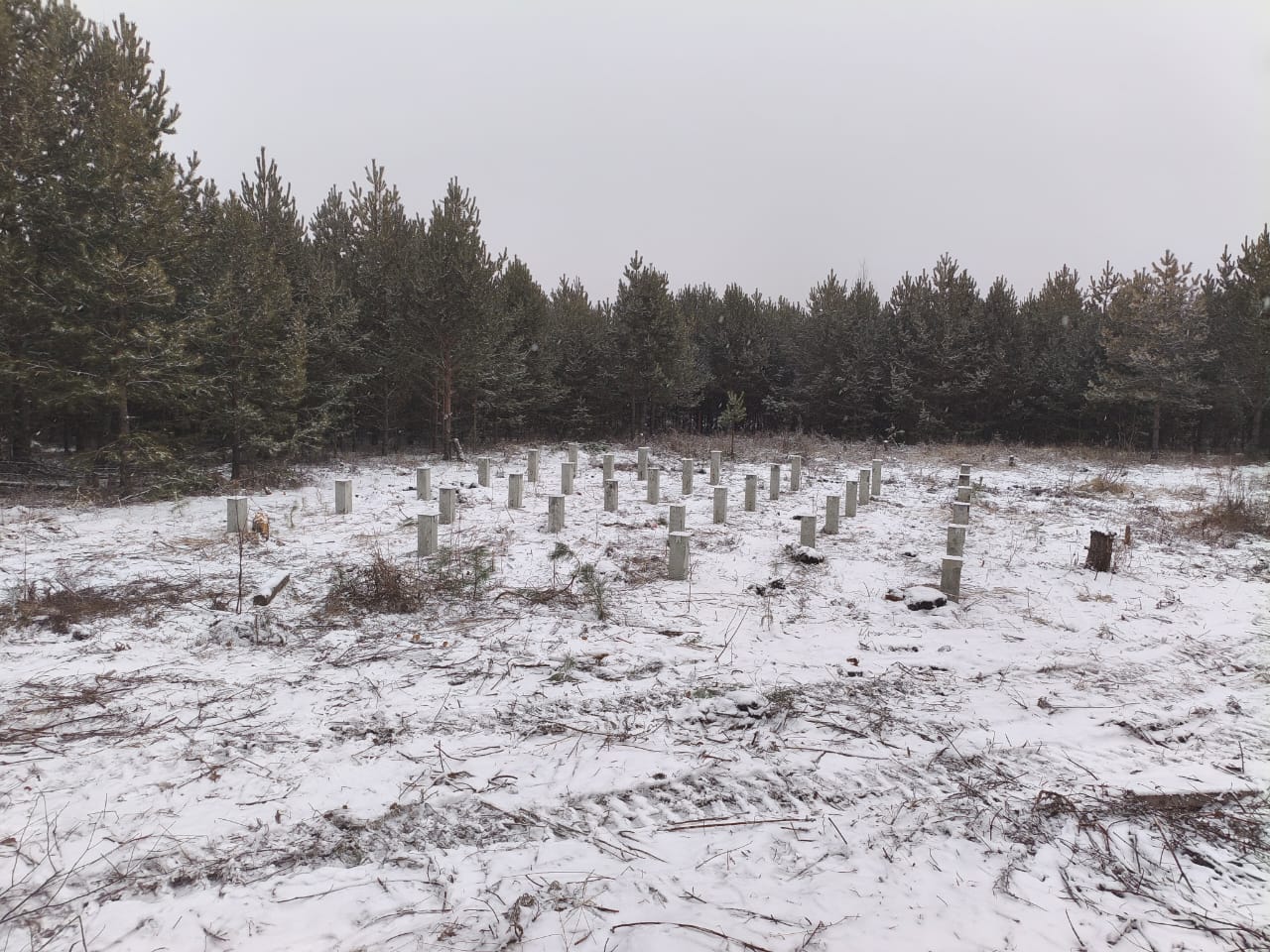 Железобетонные сваи С30.15 для жилого дома в п. Бобровский - готовое свайное поле под обвязку брусом